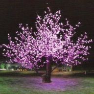 Светодиодные декоративные деревья